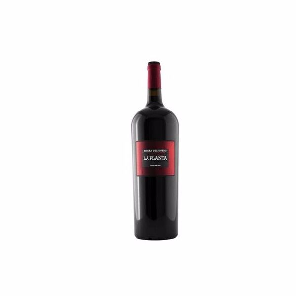 Vino tinto D.O Ribera del Duero  La Planta