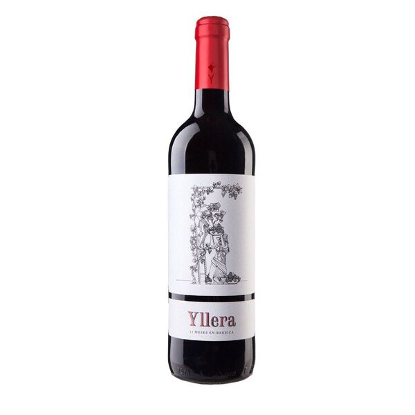 Vino tinto ribera del duero Yllera  12 meses