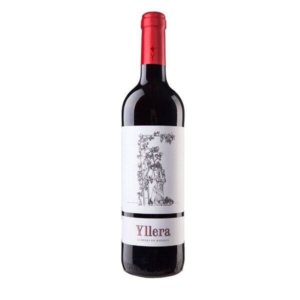 Vino tinto ribera del duero Yllera roble 12 meses