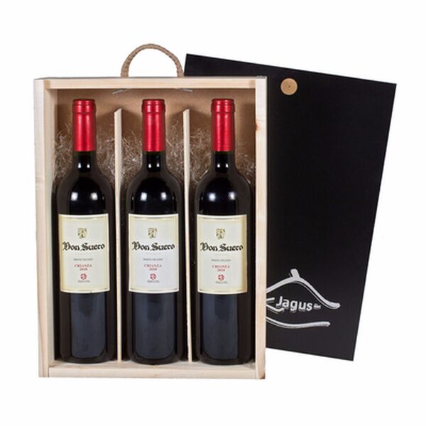 Estuche vino tinto D.O León Don Suero Crianza 