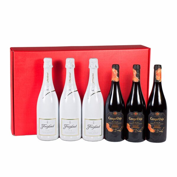 ​Estuche 6 Botellas. Cava Freixenet Ice y D.O Rioja Campo Viejo Crianza